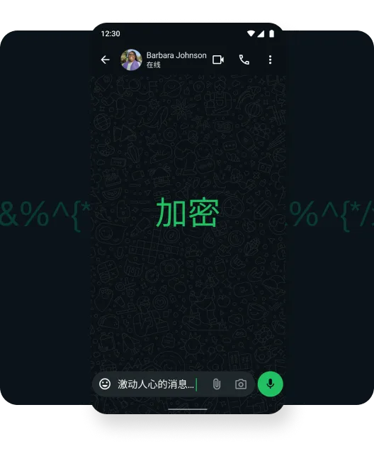 端到端加密聊天界面截图
